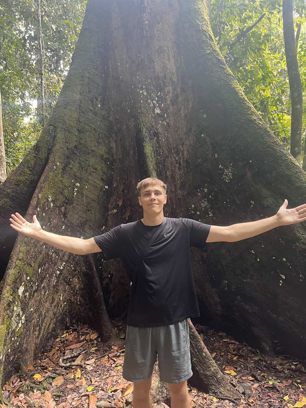 Jungle