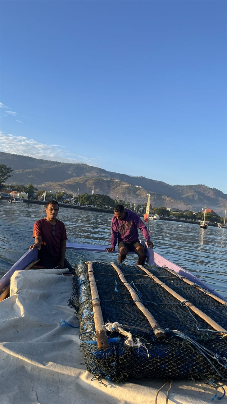 Private blue whale expedition from Dili by local boat