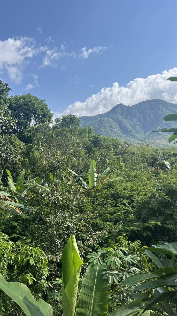Hochland von Flores bei Bajawa