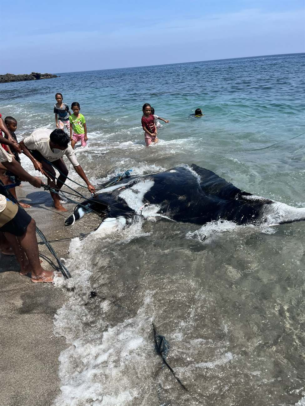 Manta am Strand von Lamalera