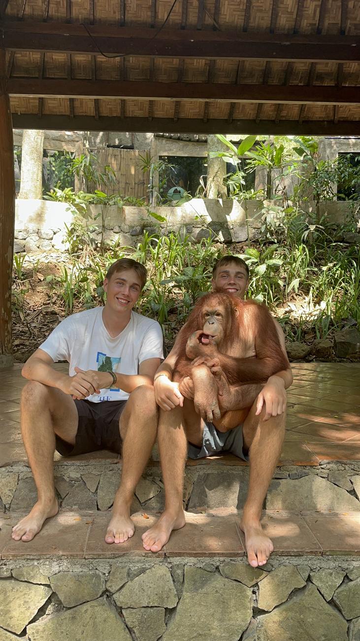Orangutan encounter