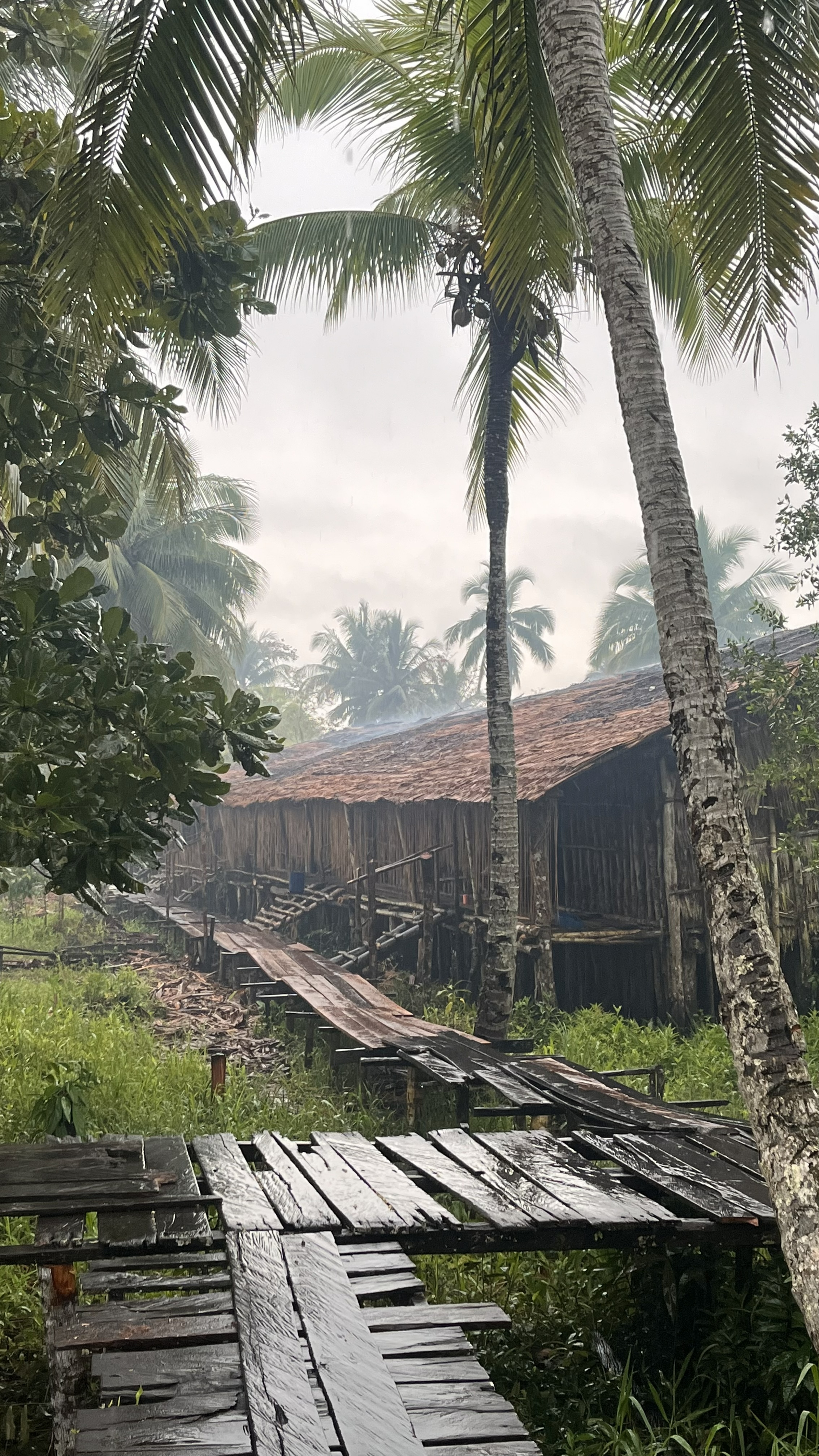 Stilt village life in the Asmat region