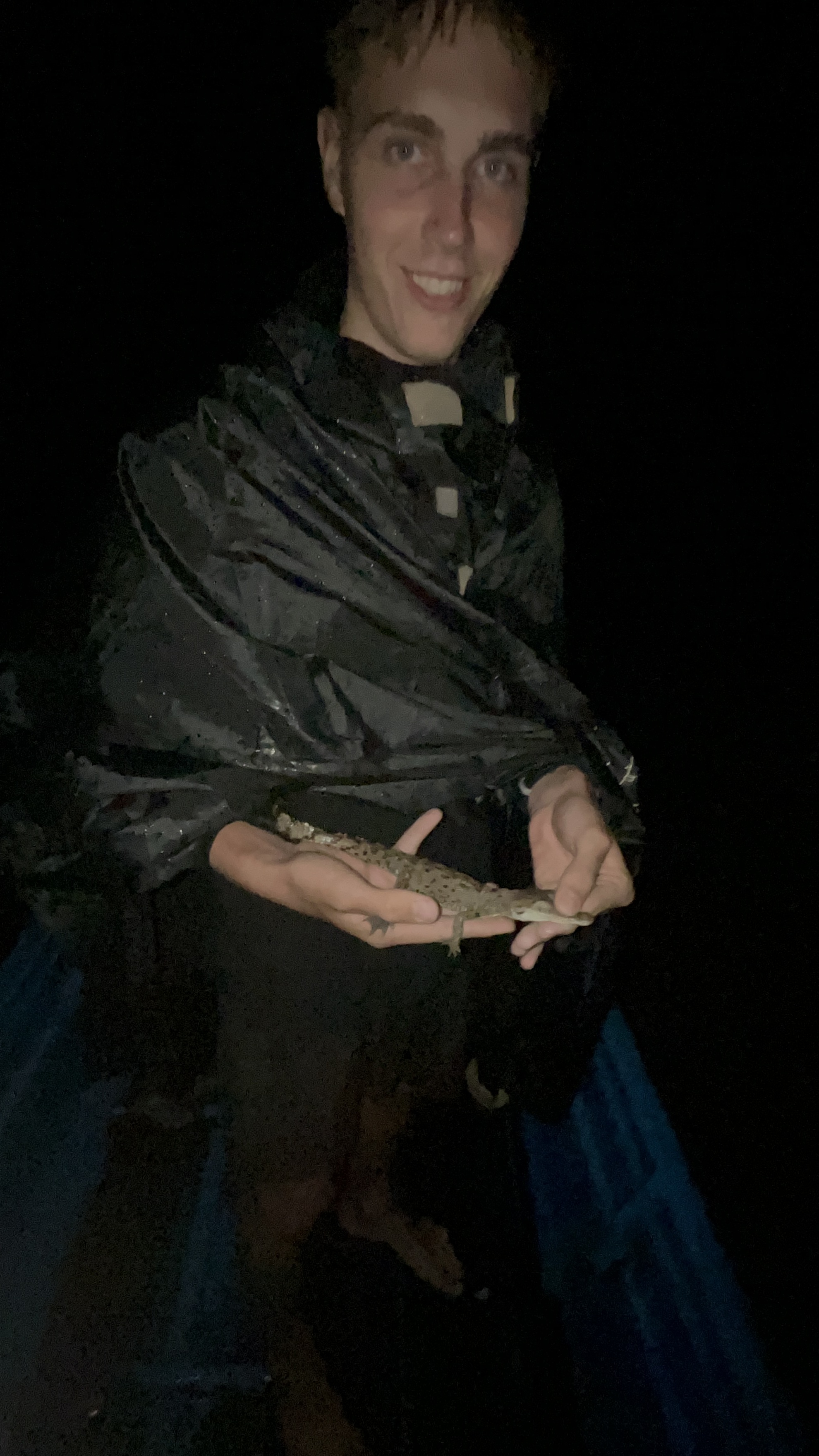 A small crocodile seen during the night on the river