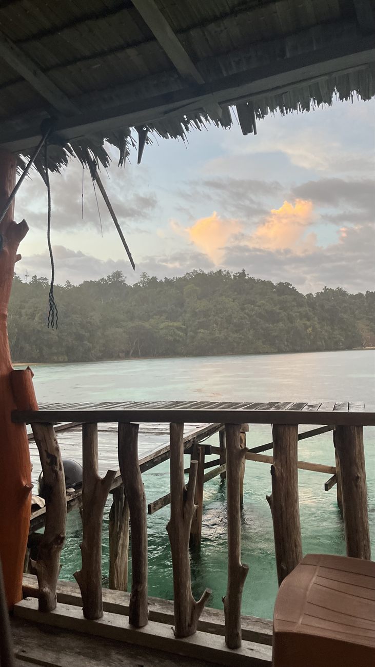 Quiet moments in Raja Ampat: water, jungle, and stillness